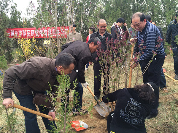 公司員工常年堅持植樹活動